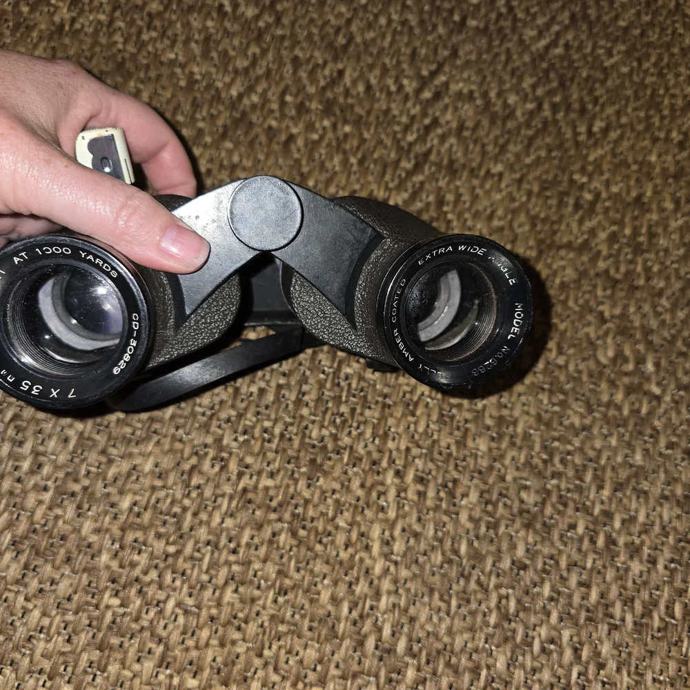Sears Black and Gray Binoculars